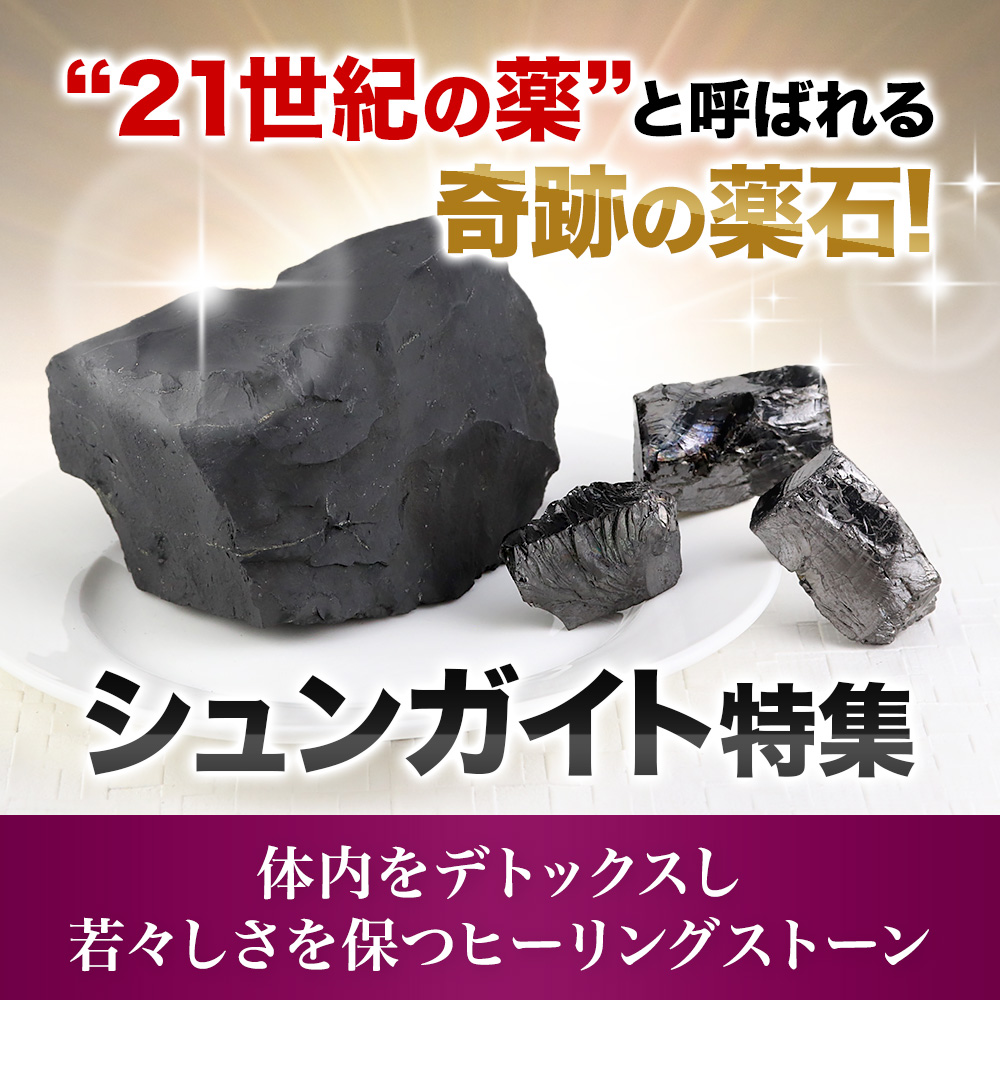 シュンガイト特集